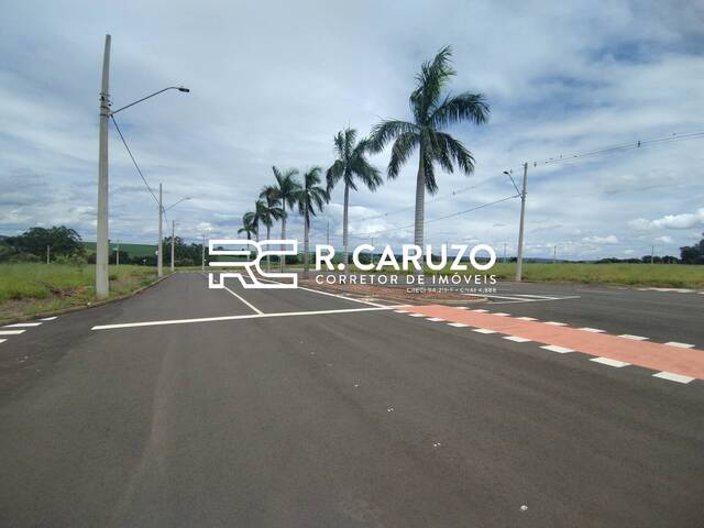 Área para Venda em Rio Claro - 4